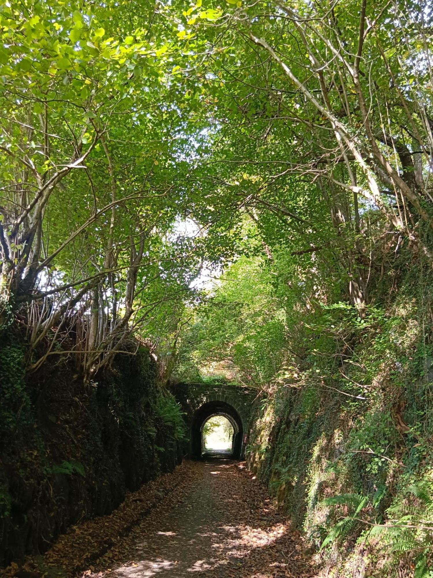 לייצה Hostal-Cicloturismo Lopenea מראה חיצוני תמונה